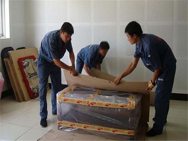 1608708507135063.jpg 3.jpg